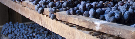 drygrapes2-3.jpg